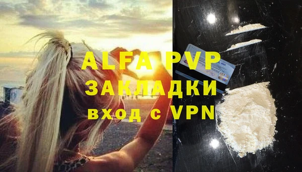 ГАЛЛЮЦИНОГЕННЫЕ ГРИБЫ Корсаков