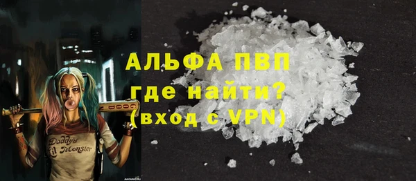 ГАЛЛЮЦИНОГЕННЫЕ ГРИБЫ Корсаков