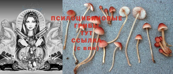 таблы Краснотурьинск