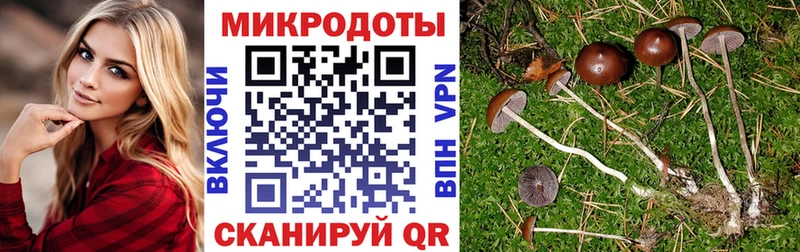 цена наркотик  Липки  Псилоцибиновые грибы мицелий 